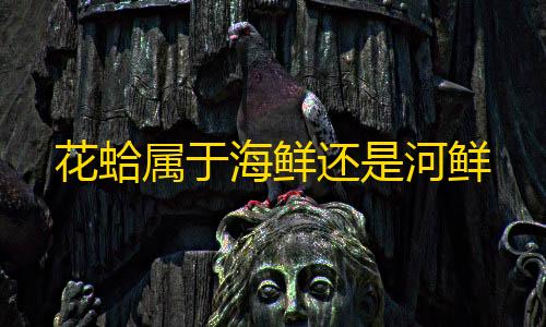 包年包月花蛤属于海鲜还是河鲜